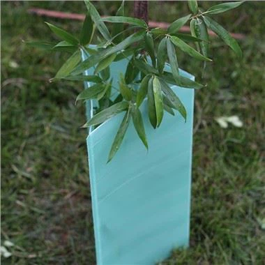 Uchburchak daraxt qo'riqchisi