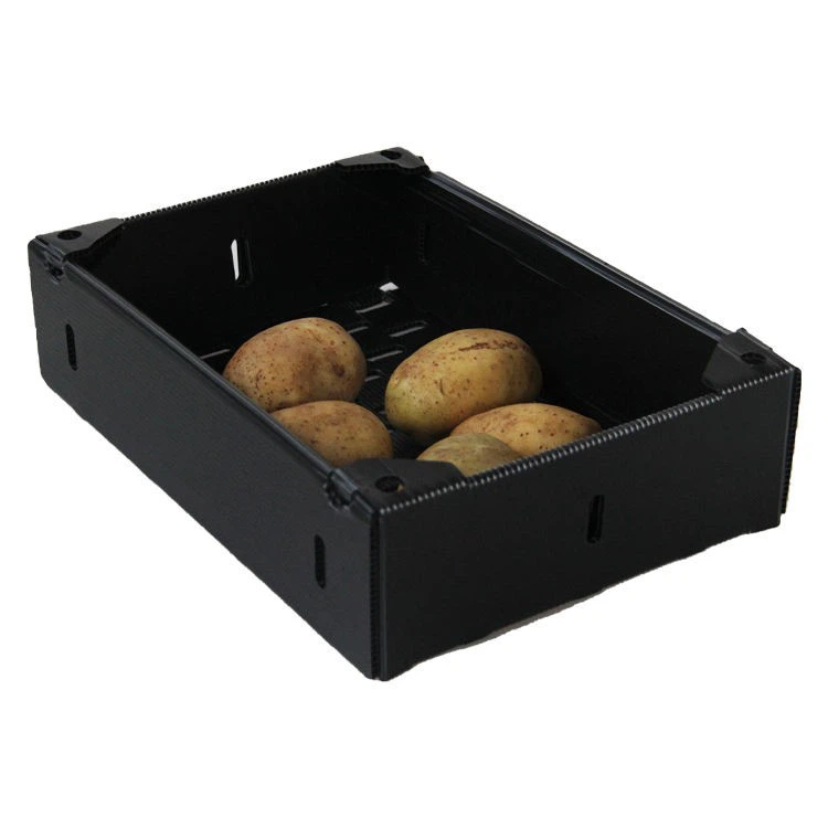 Foldable PP Corrugated Plastic Tray