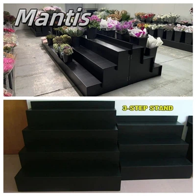 Mantis gul displeyi stend manzili: Tabiatning nafislik bo'yicha badiiylik