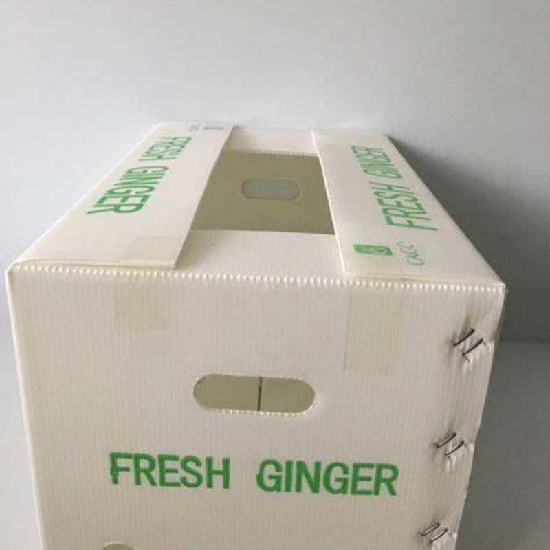 Reusable Corrugated Plastic Box factory
