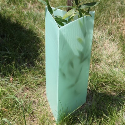 PP Plastik Korflut daraxti qo'riqchisi
